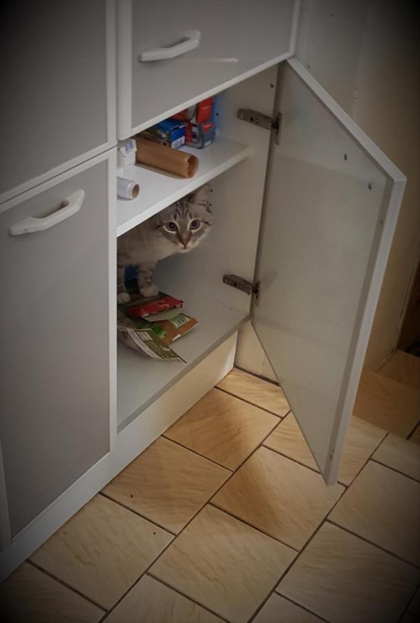 Accommodatie bij particulieren Kim's *